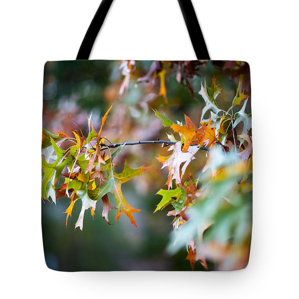 Photo Tote Bag featuring the photograph Fall Foliage 2 by Evan Foster