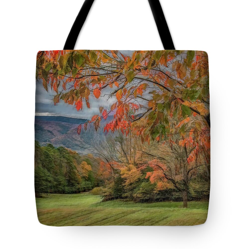 Cades Cove Tote Bag featuring the photograph Fall in the Cove, Stylized by Marcy Wielfaert