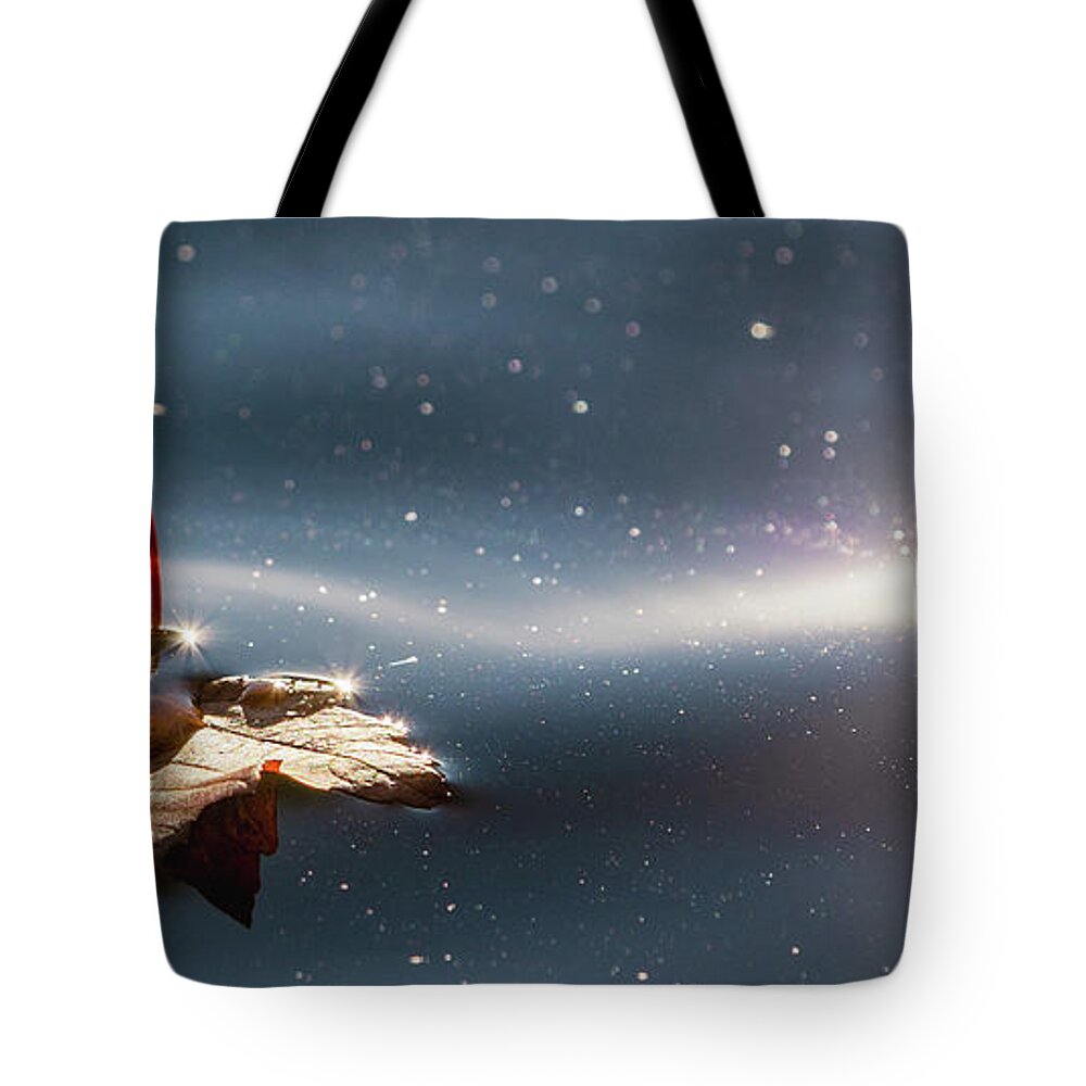 Autumn Tote Bag featuring the photograph Fall Leaf Floating by Rachel Morrison