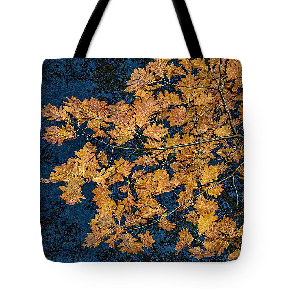 Fall Leaves Night Zion Illinois Autumn Golden Dark Blue Sky Tote Bag featuring the photograph Fall Leaves at Night - Zion, Illinois by David Morehead