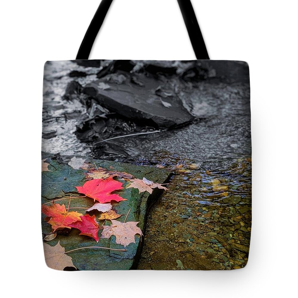  Tote Bag featuring the photograph Fall Leaves by Brad Nellis