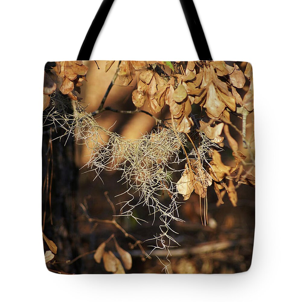  Tote Bag featuring the photograph Fall Moss by Heather E Harman