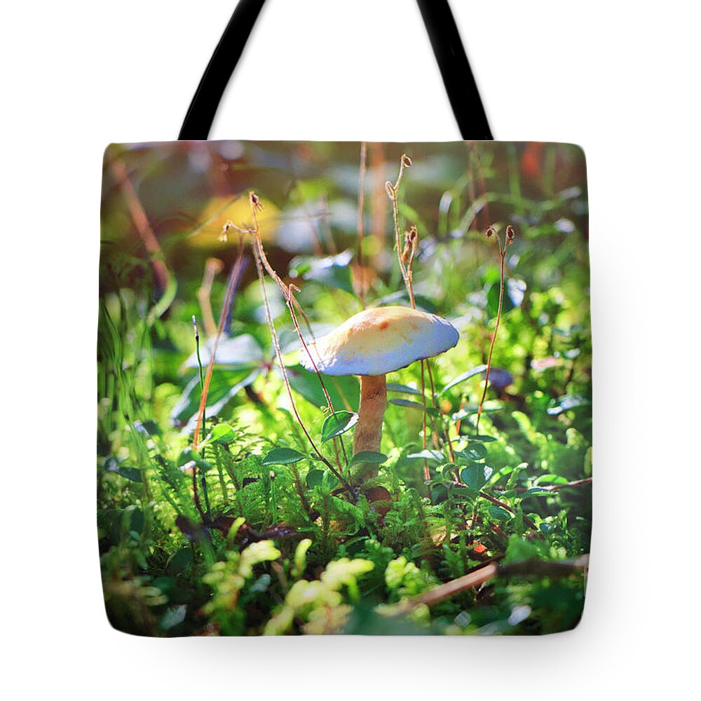 Mushroom Tote Bag featuring the photograph Fall Mushroom by Thomas Nay