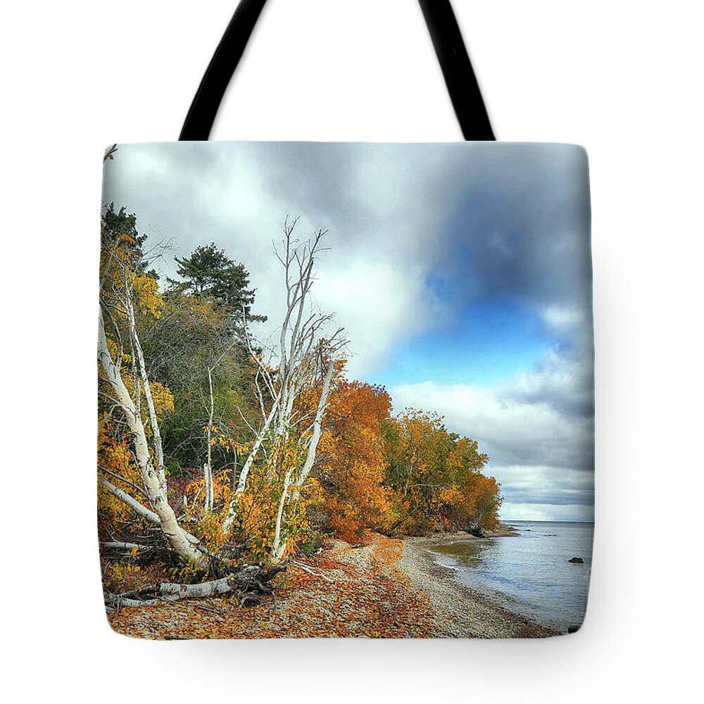 Hecla Island Tote Bag featuring the photograph Fall on Hecla Island by Teresa Zieba