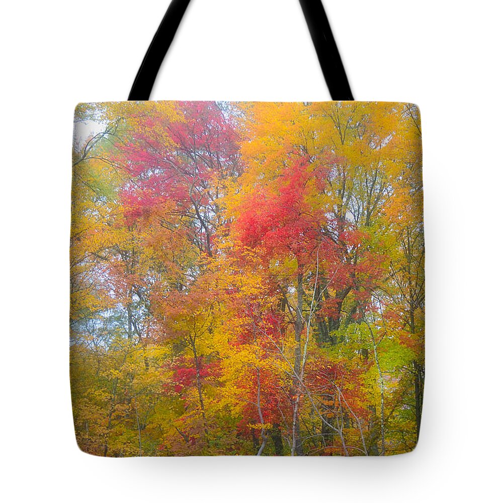 Fall Foliage Tote Bag featuring the photograph Fall by Segura Shaw Photography
