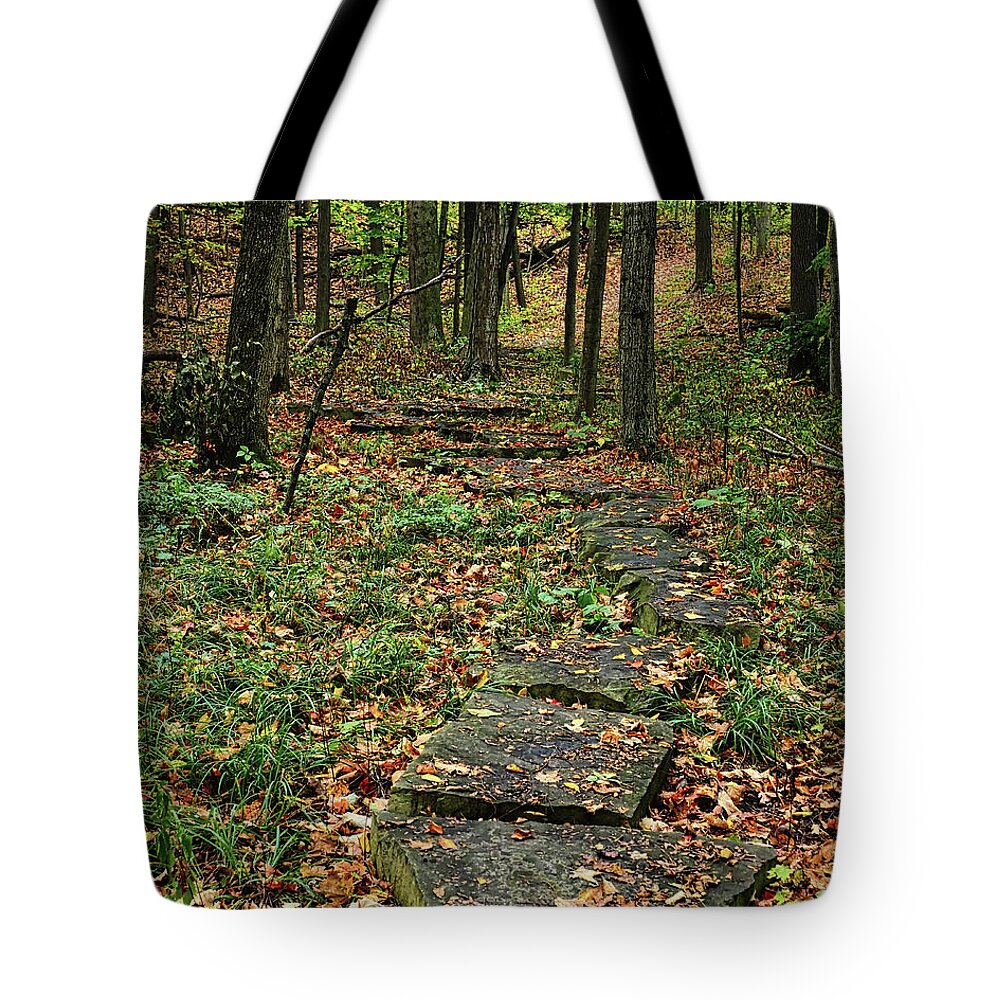 Trees Tote Bag featuring the photograph Fall Stone Pathway by Scott Olsen
