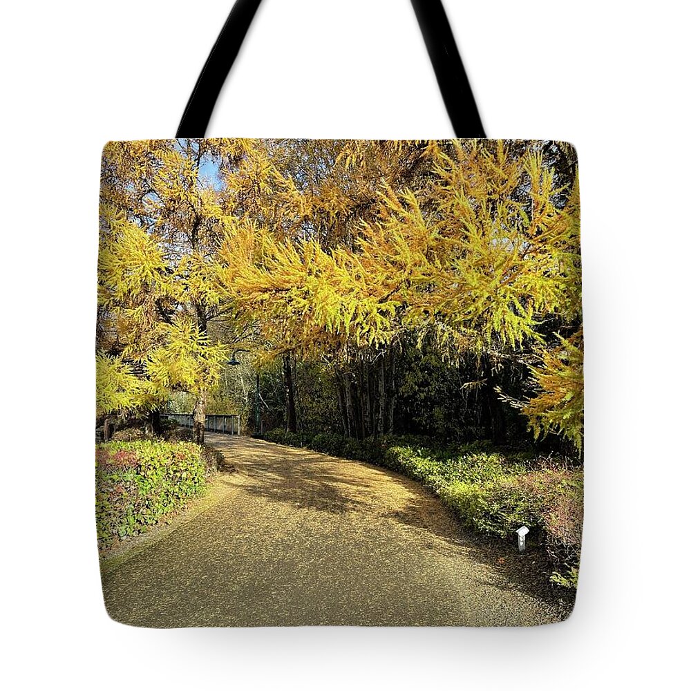 Gene Coulon Memorial Park Tote Bag featuring the photograph Fall Walk by Suzanne Lorenz