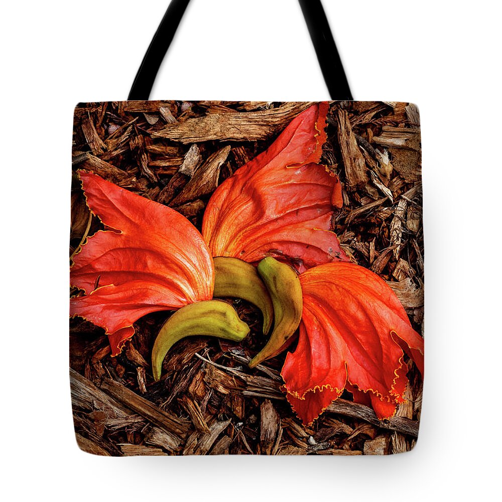 Flower Tote Bag featuring the photograph Fallen Blossoms by Margaret Zabor