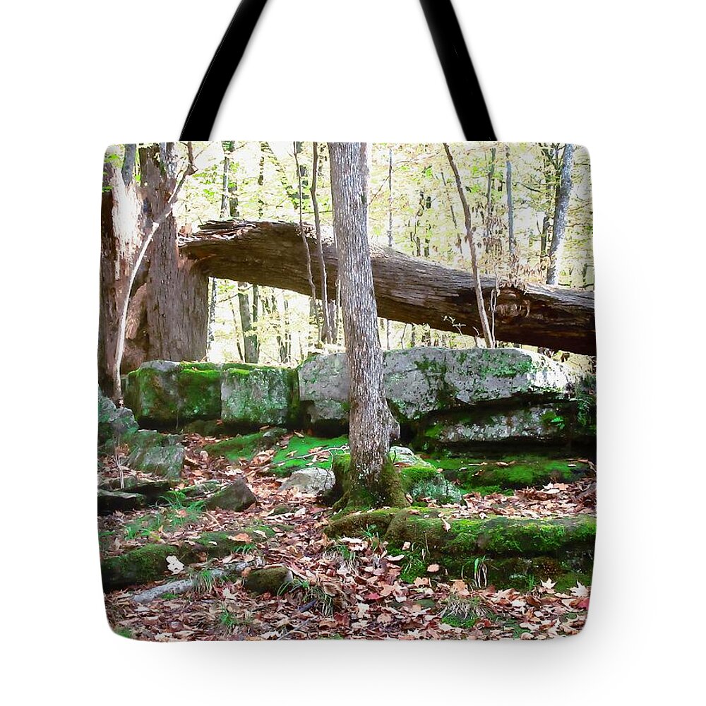Trees Tote Bag featuring the photograph Fallen Giant by Stephanie Moore