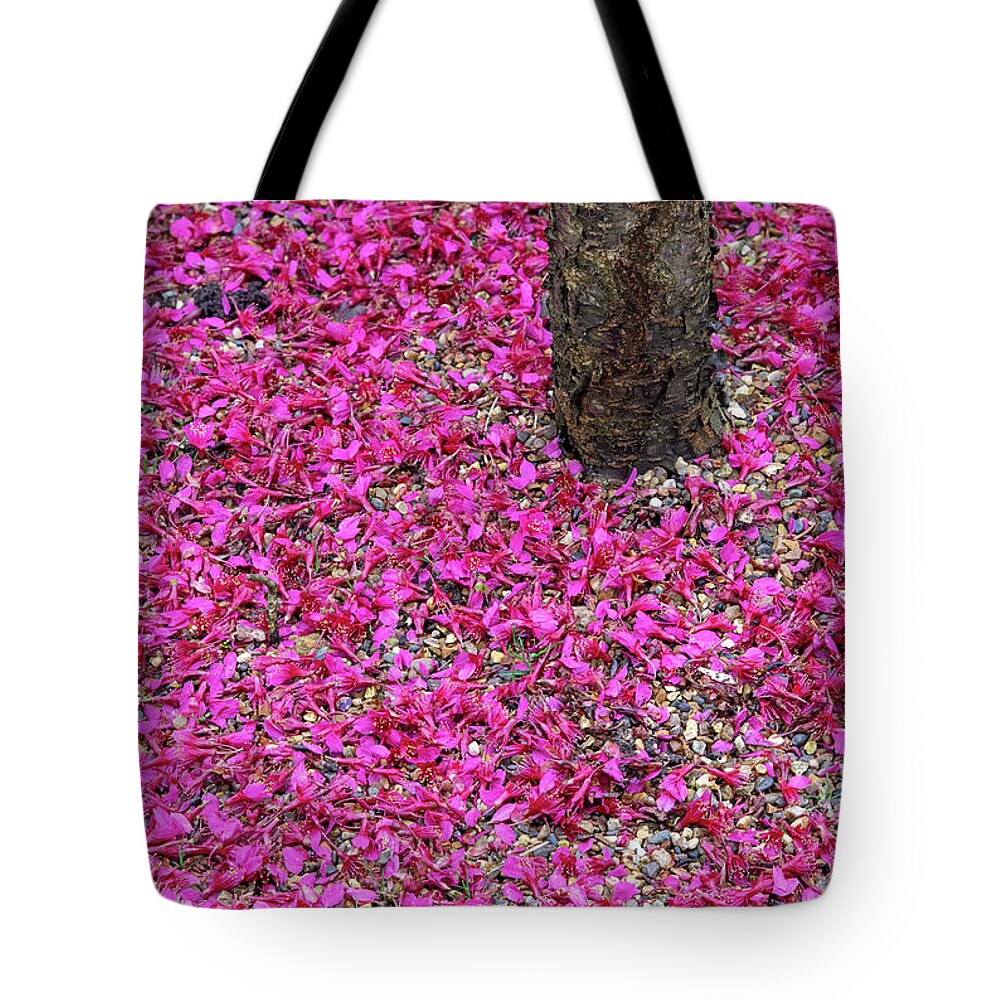 Cherry Tree Blossom Cherry Tree Tote Bag featuring the photograph Fallen Japanese Cherry Tree Blossom by Tim Gainey
