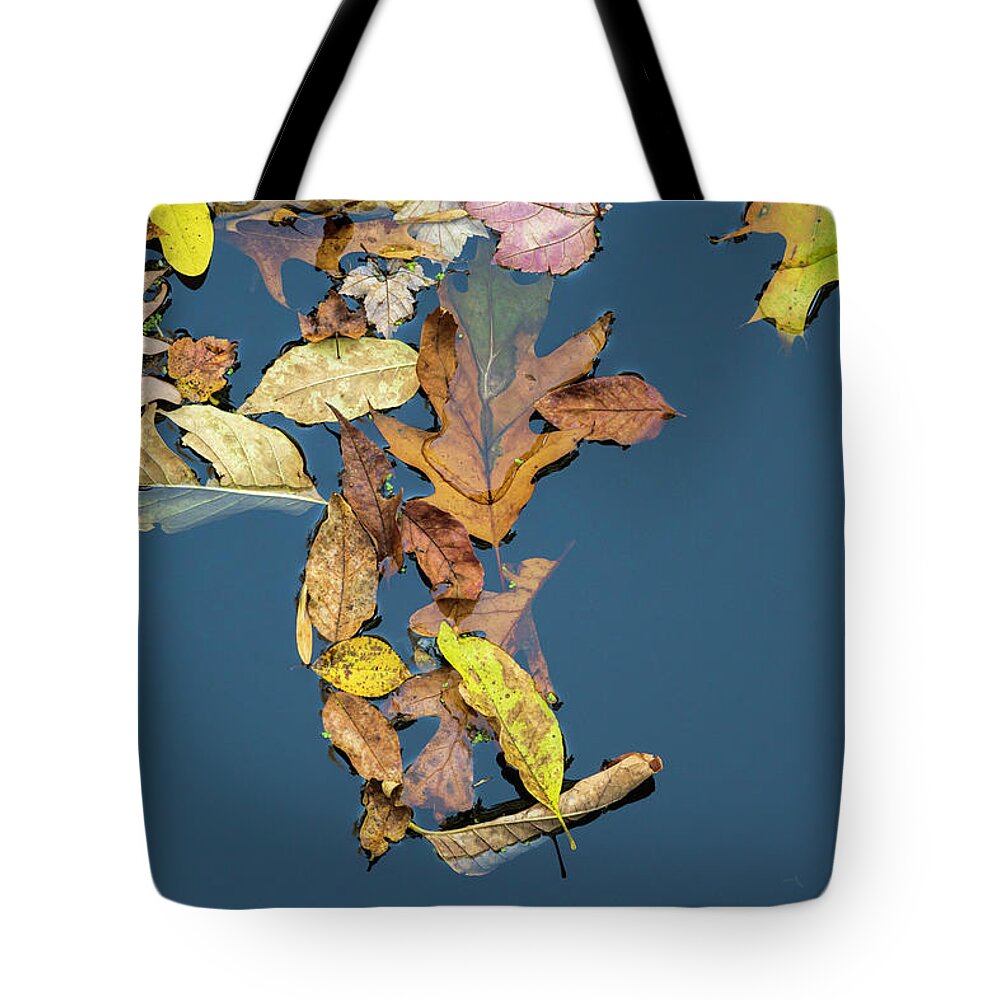 Autumn Tote Bag featuring the photograph Fallen Leaves III Color by David Gordon