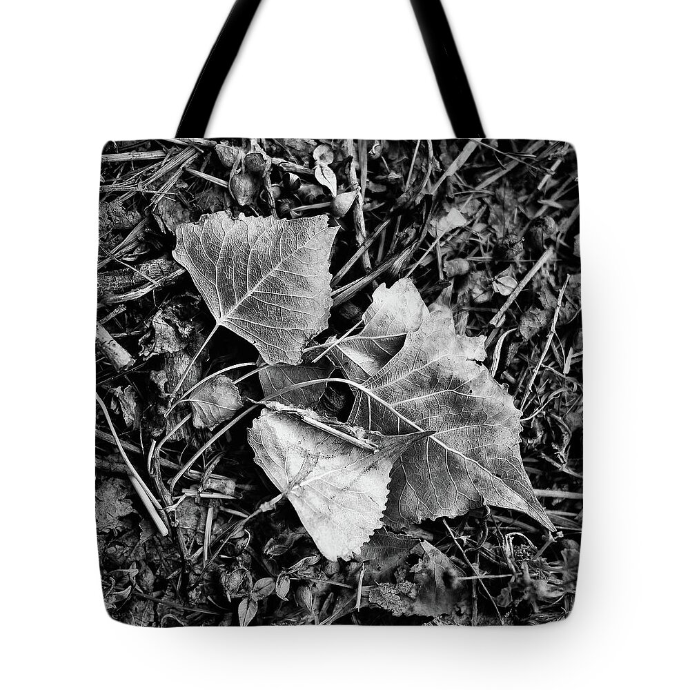Leaves Tote Bag featuring the photograph Fallen Leaves by Monte Stevens