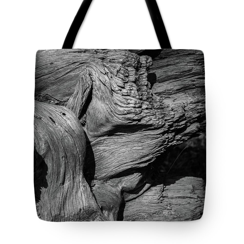 Pine Tote Bag featuring the photograph Fallen Pine in Black and White by Alan Goldberg