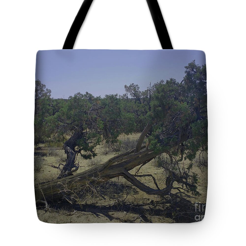 Soldiers Tote Bag featuring the photograph Fallen Soldier by Doug Miller