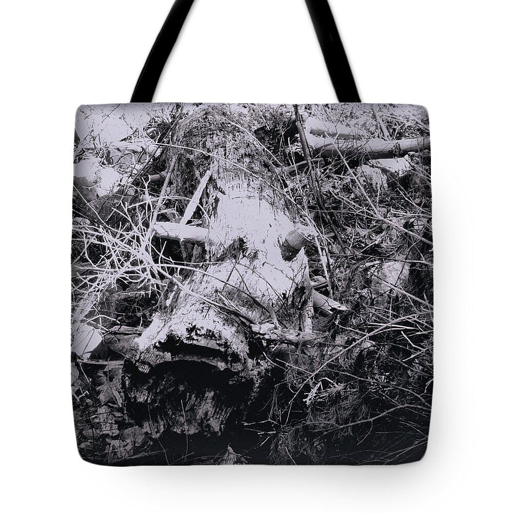 Tree Tote Bag featuring the photograph Fallen Tree by Christopher Reed