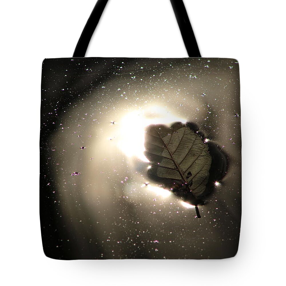 Jane Ford Tote Bag featuring the photograph Falling leaves by Jane Ford
