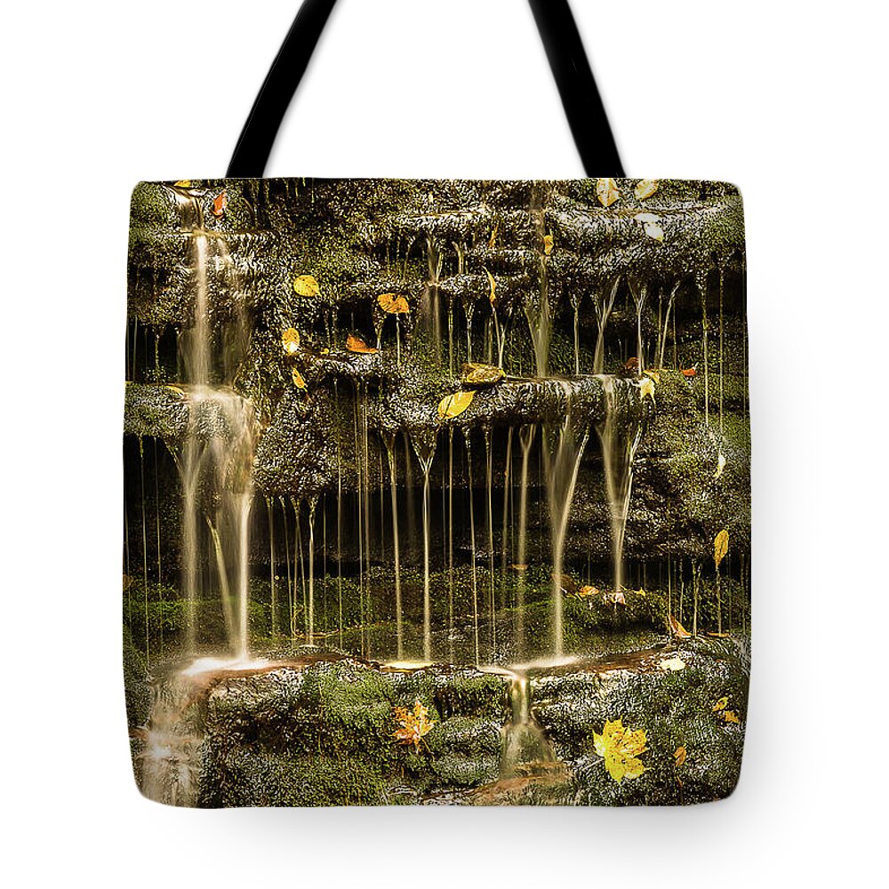 Ricketts Glen Tote Bag featuring the photograph Falling leaves by Robert Miller