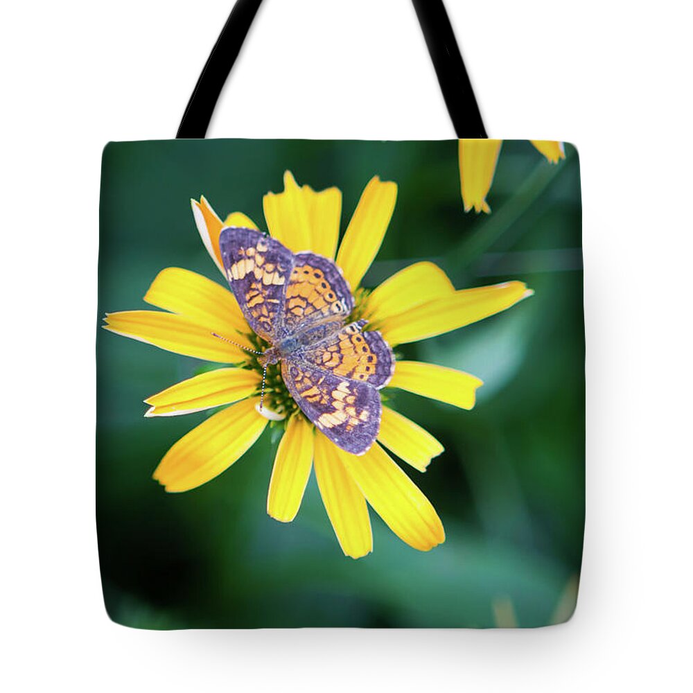 False Sunflower Tote Bag featuring the photograph False Sunflower-Butterfly_6119 by Rocco Leone