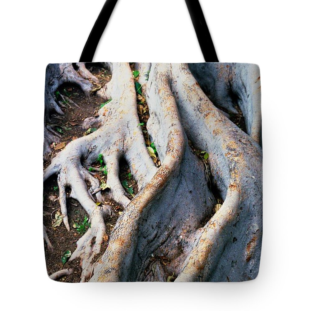 Tree Roots Tote Bag featuring the photograph Family Bonds by Kerry Obrist
