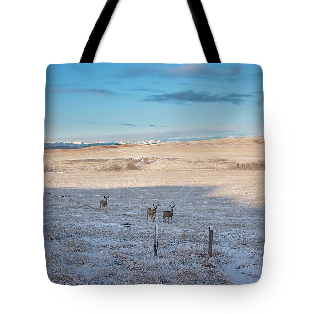 Derr Tote Bag featuring the photograph Family Daytrip by Canadart -