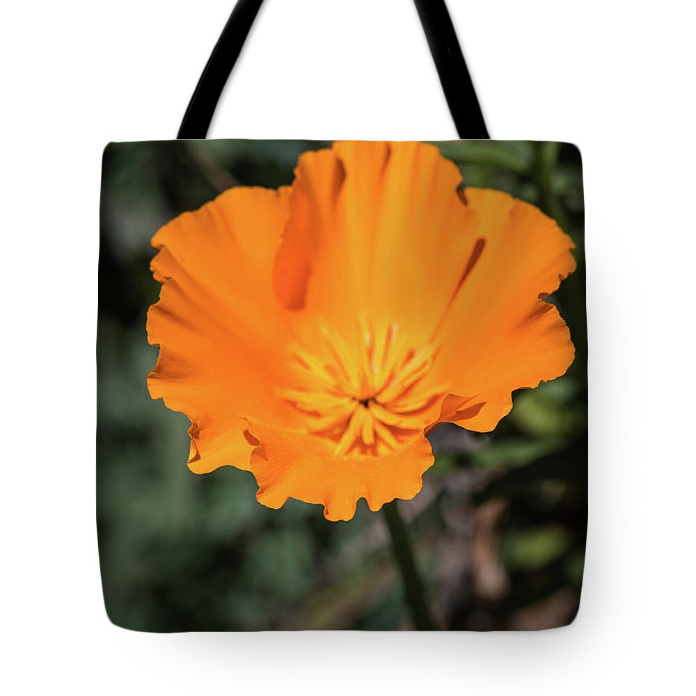 Gold Poppy Tote Bag featuring the photograph Fancy Tips by Aaron Burrows