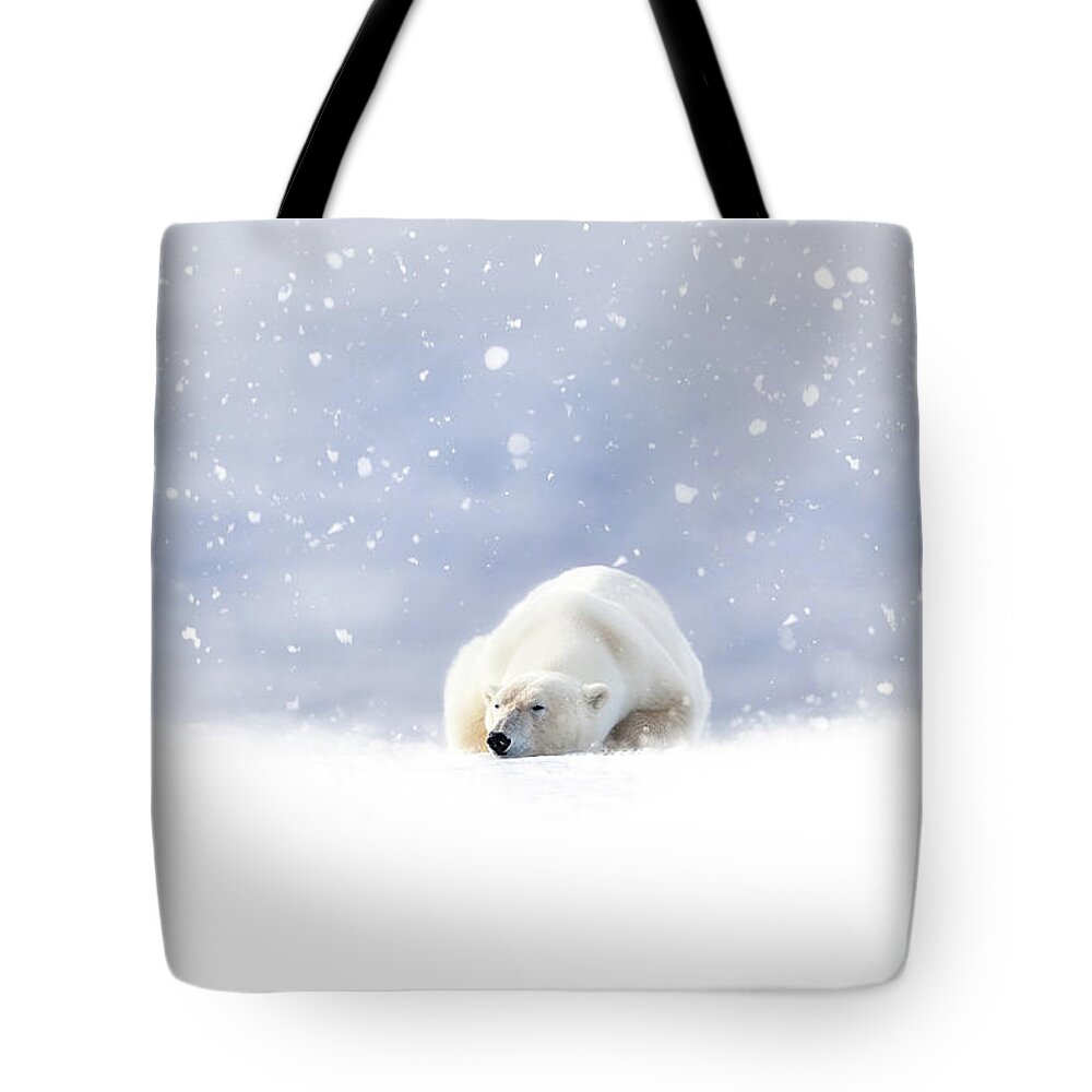 Snow Tote Bag featuring the photograph Fantasy scene of a polar bear resting in the snow by Jane Rix