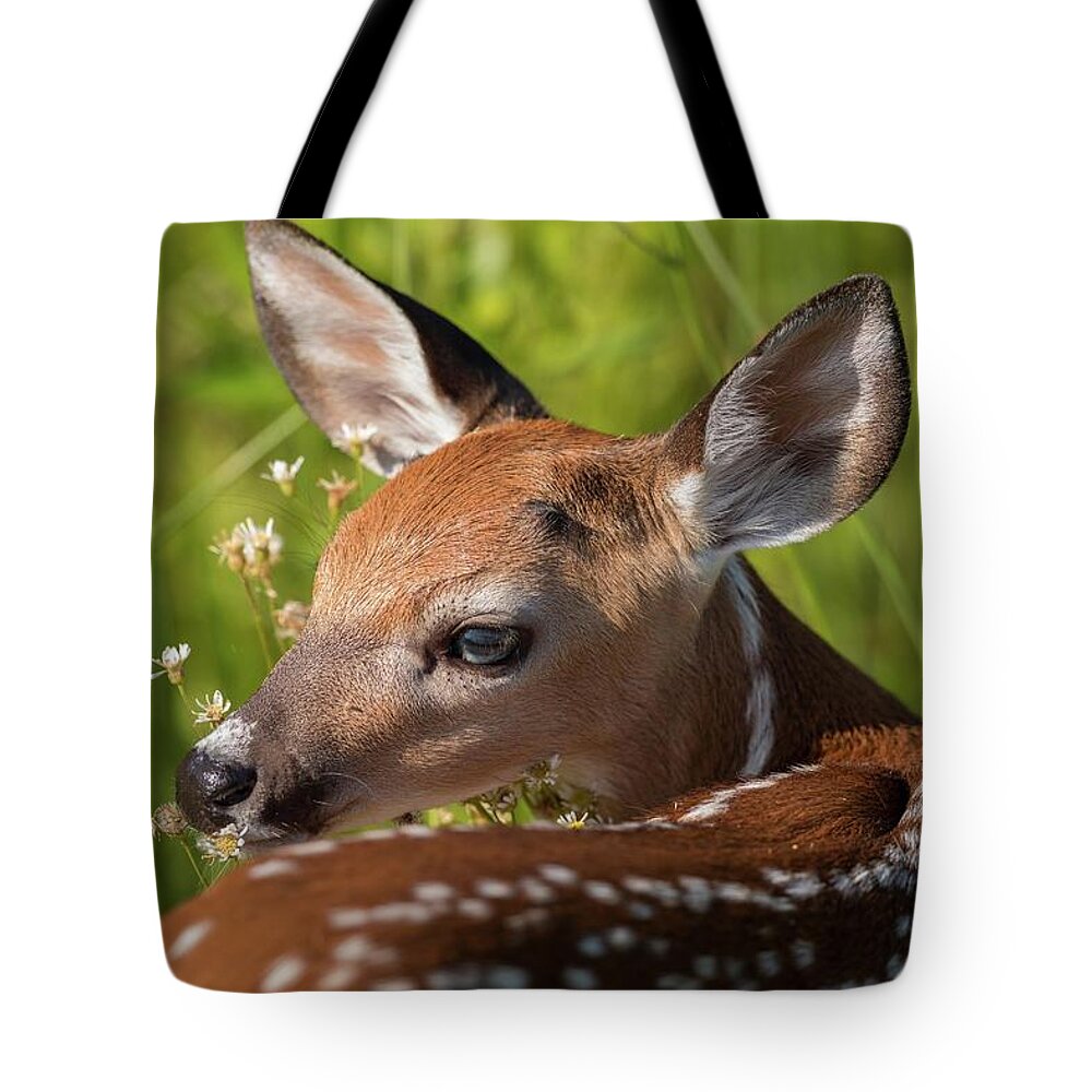 Flowering Tote Bag featuring the photograph Fawn over the Shoulder by Liza Eckardt