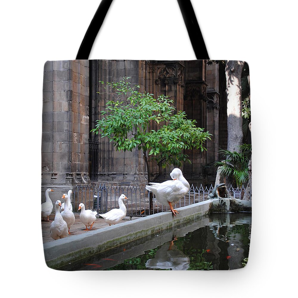 Cathedral Tote Bag featuring the photograph Fine Feathered Cloister by Vallee Johnson
