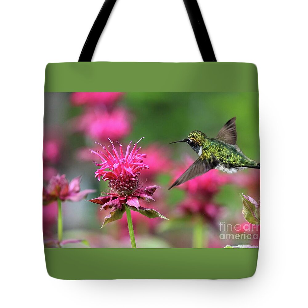 Bee Balm Tote Bag featuring the photograph Feeding Hummingbird and Pink Bee Balm by Sandra Huston