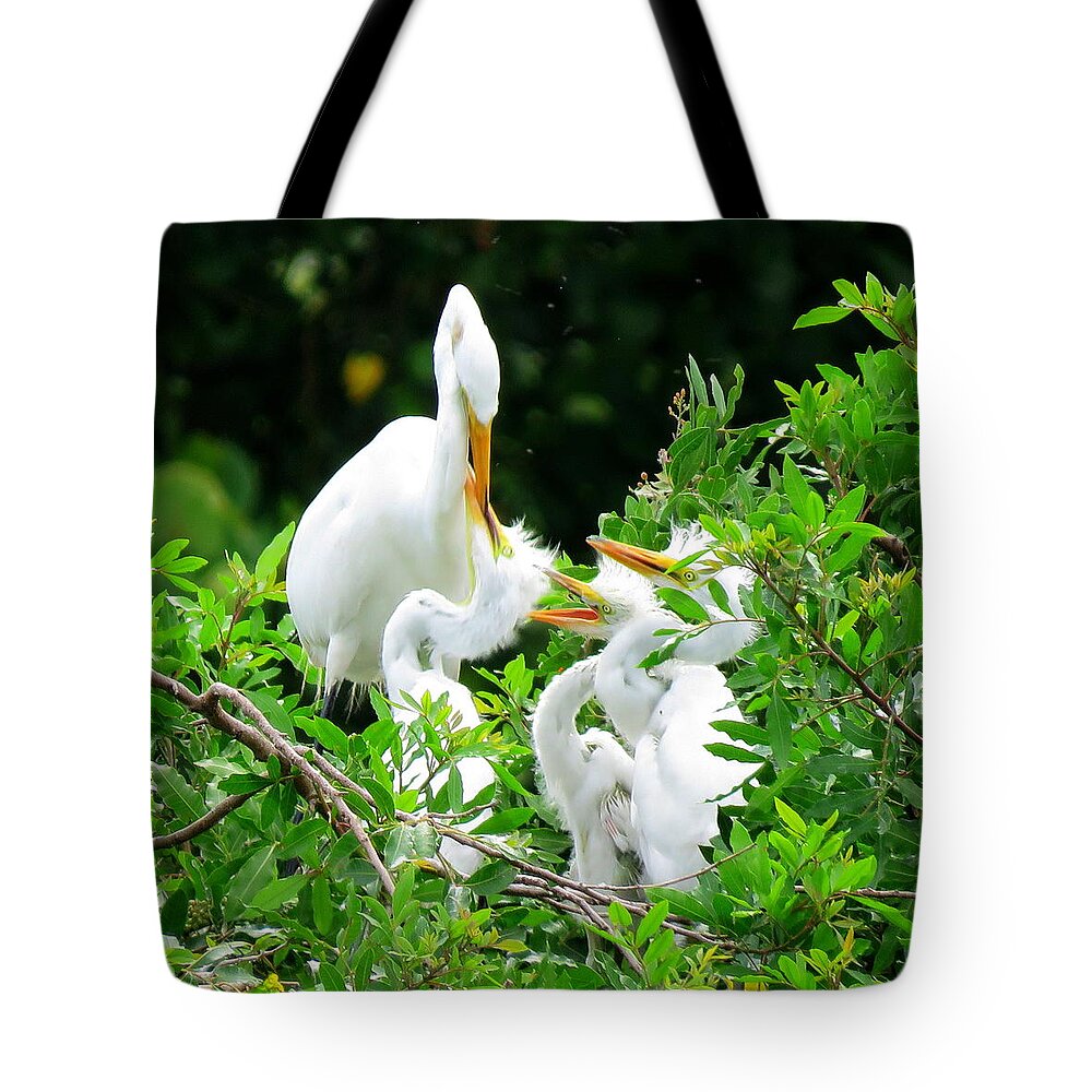 Great Egret Tote Bag featuring the photograph Feeding the Kids 2 by Keith Stokes