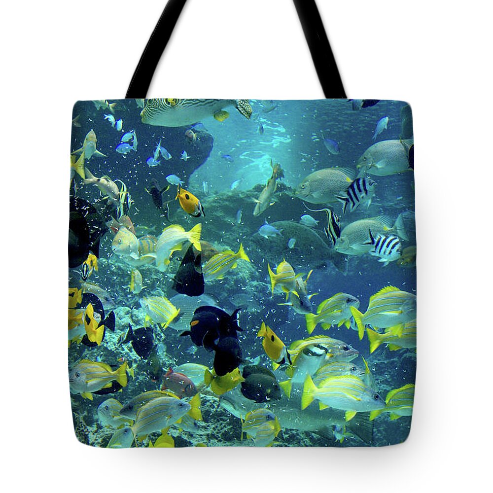 Okinawa Tote Bag featuring the photograph Feeding Time by Eric Hafner