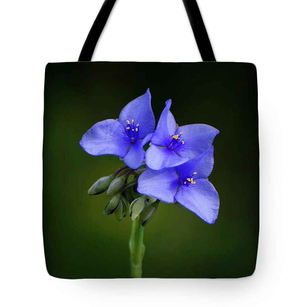 Nature Tote Bag featuring the photograph Feeling Blue by Linda Shannon Morgan