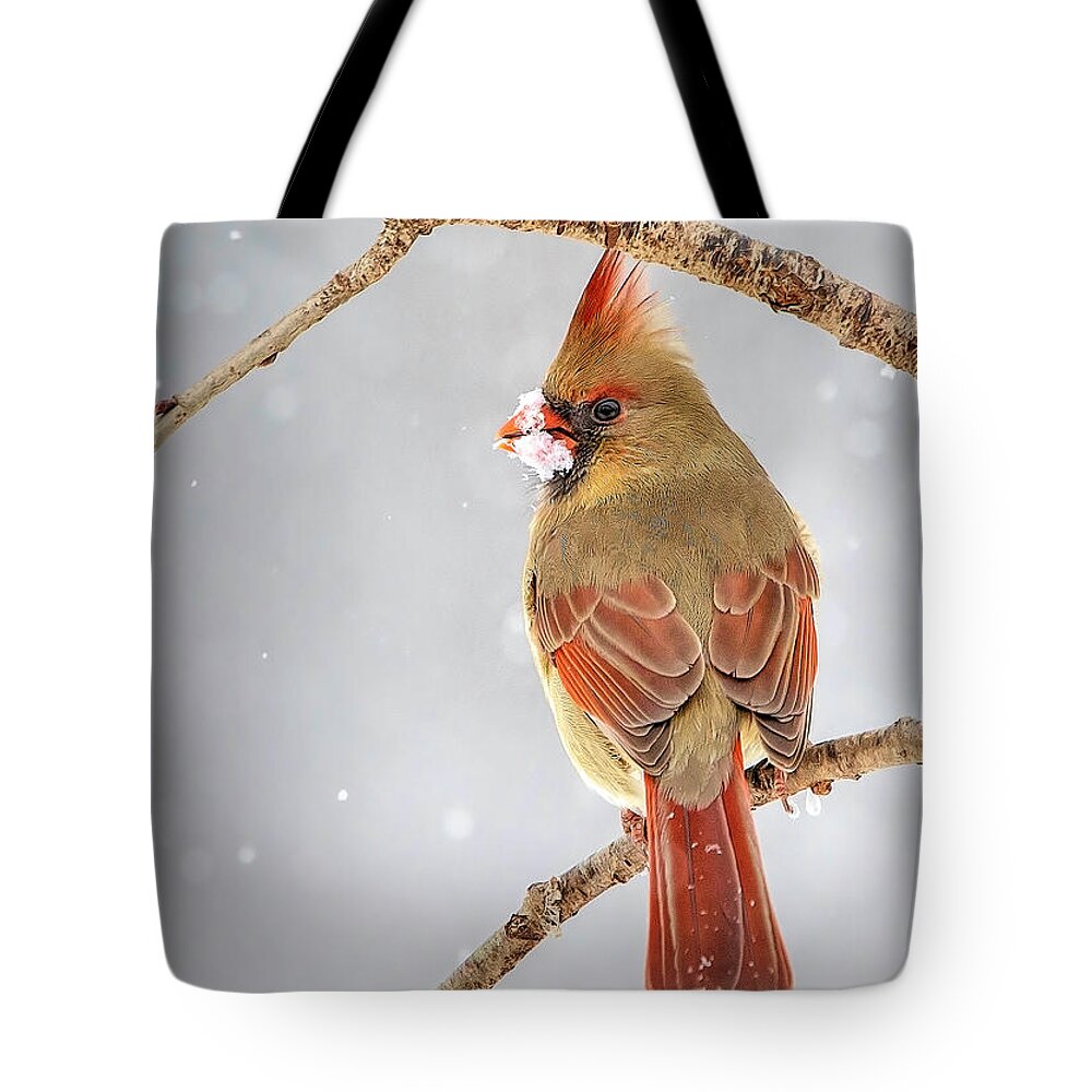 Cardinal Tote Bag featuring the photograph Female Cardinal in the Snow by Deborah Penland