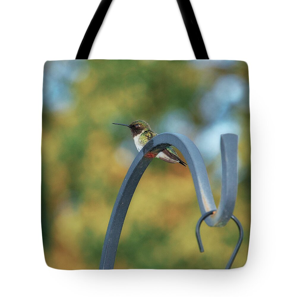 Female Tote Bag featuring the photograph Female Ruby-Throated Hummingbird by Frank Mari