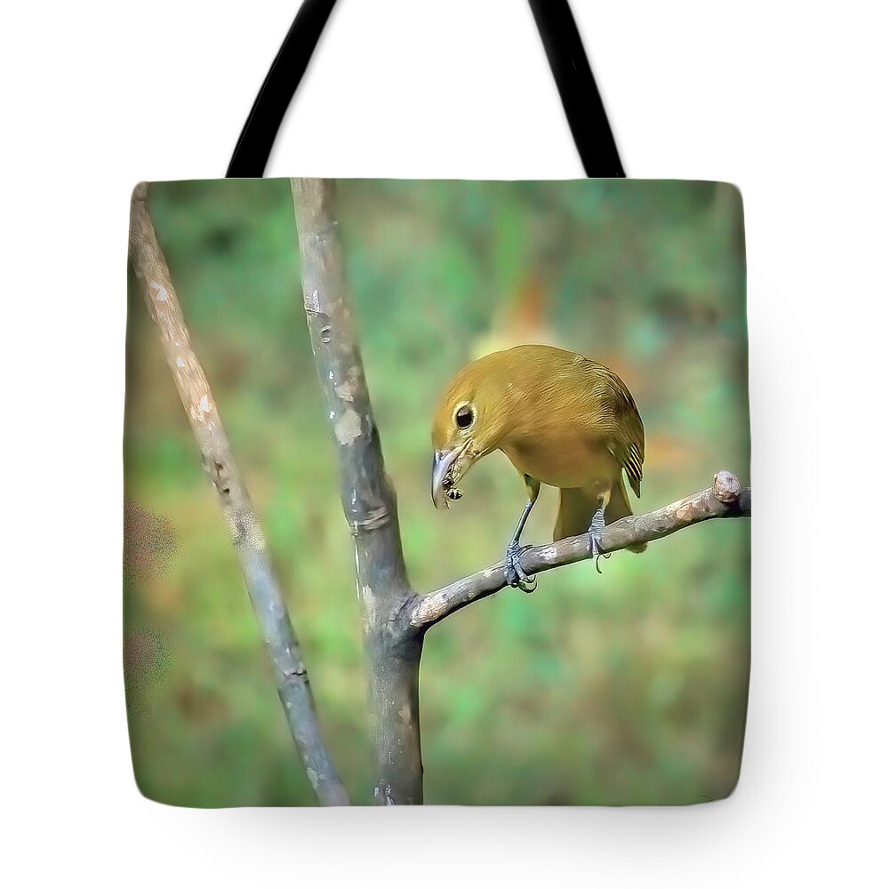 Female Summer Tanager With Yellow Jacket Tote Bag featuring the photograph Female Summer Tanager With Yellow Jacket by Bellesouth Studio