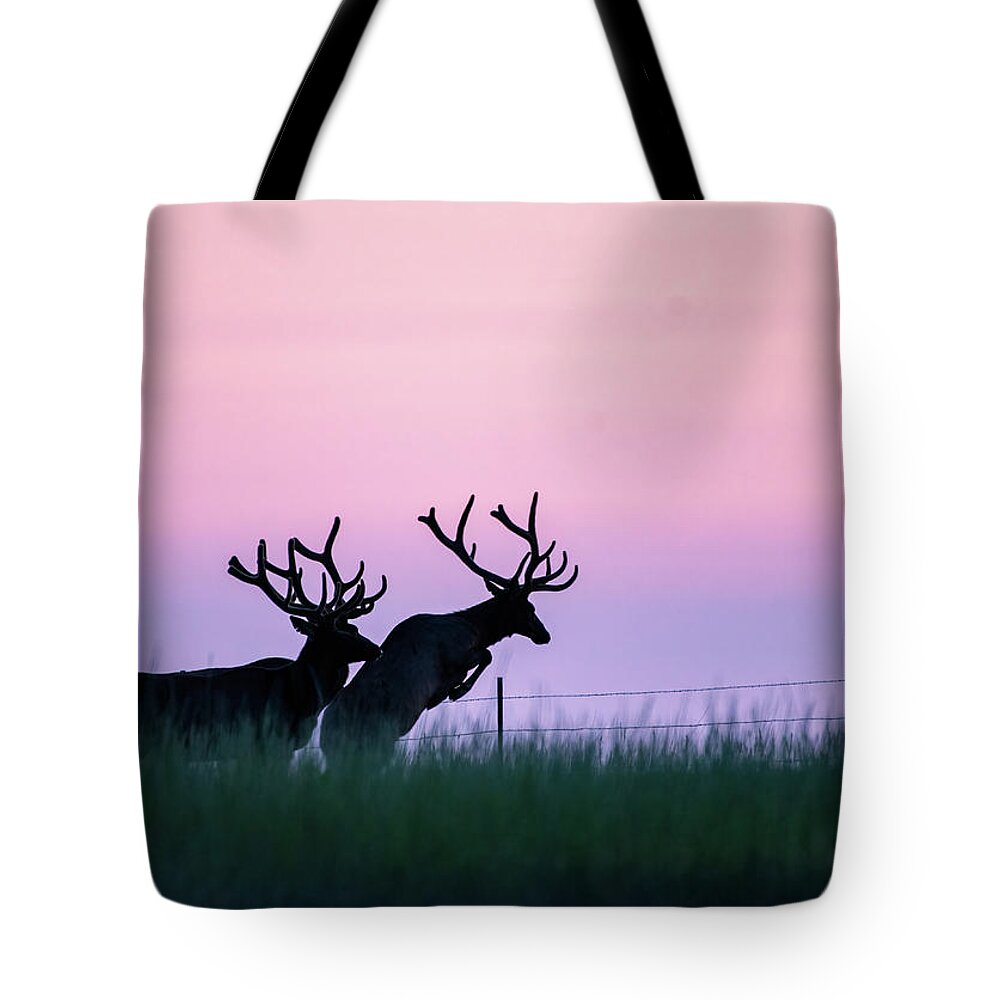 Elk Tote Bag featuring the photograph Fence Hopping Bull Elk by Gary Beeler