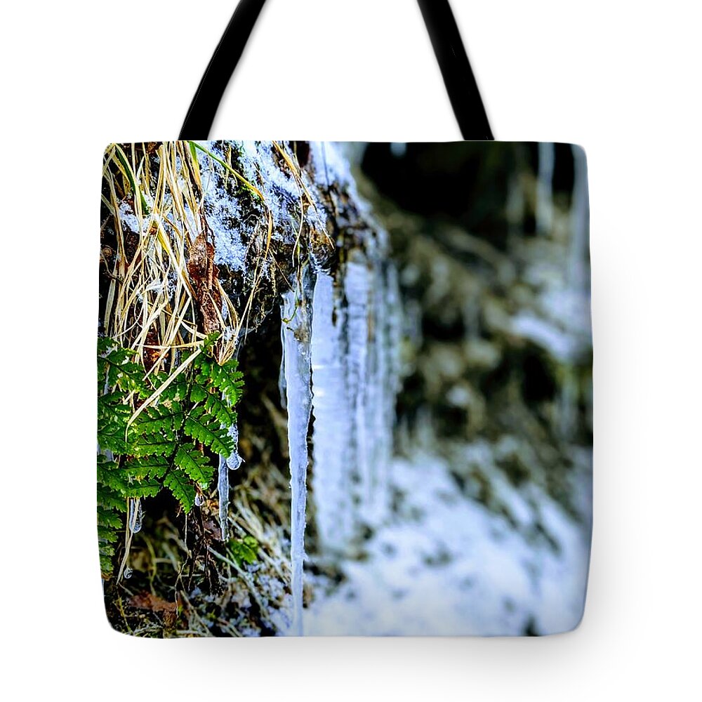  Tote Bag featuring the photograph Fern and Icicles by Brad Nellis
