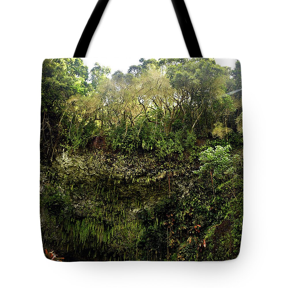 Fern Grotto Tote Bag featuring the photograph Fern Grotto by Cindy Murphy