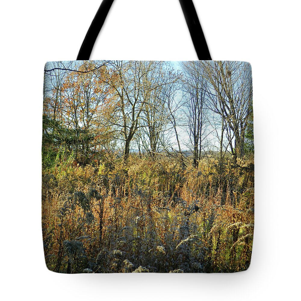 November Tote Bag featuring the photograph Field in November at Sunset with a View by Lise Winne