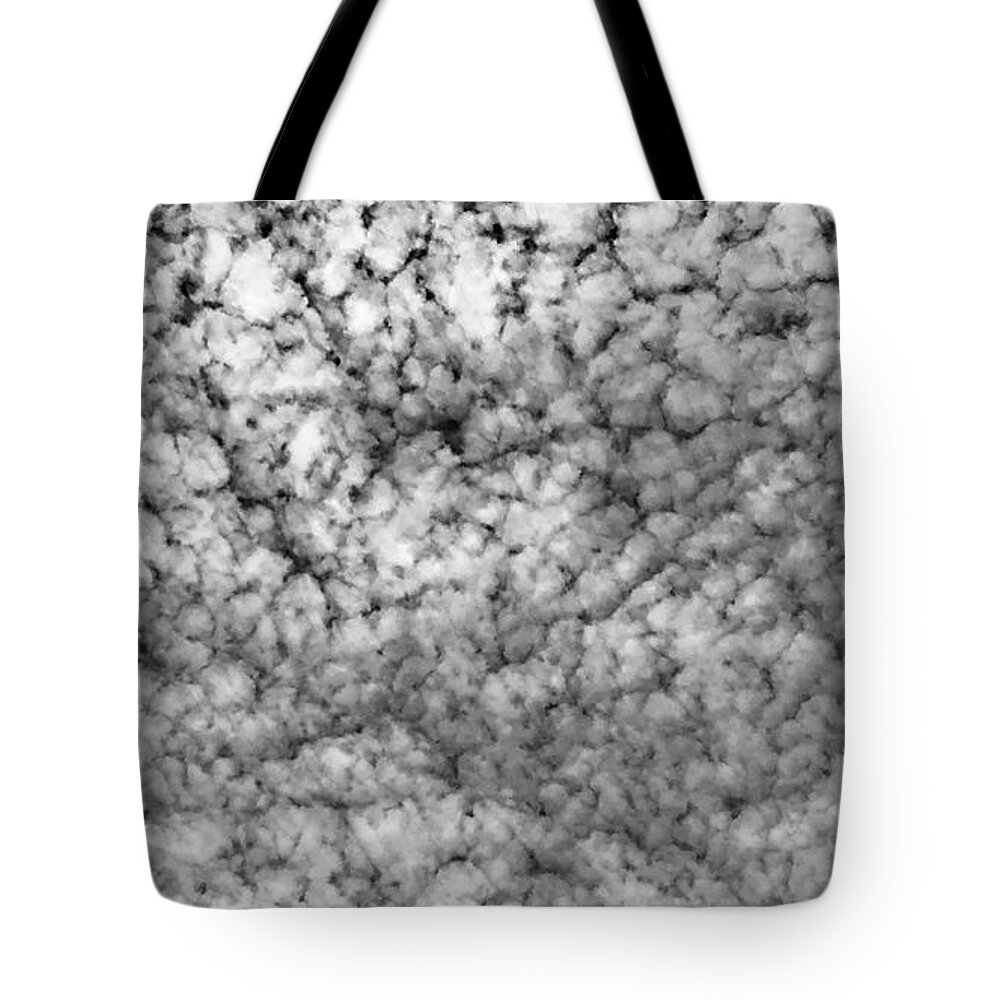 Sky Tote Bag featuring the photograph Field of Cotton in the Sky by J Hale Turner