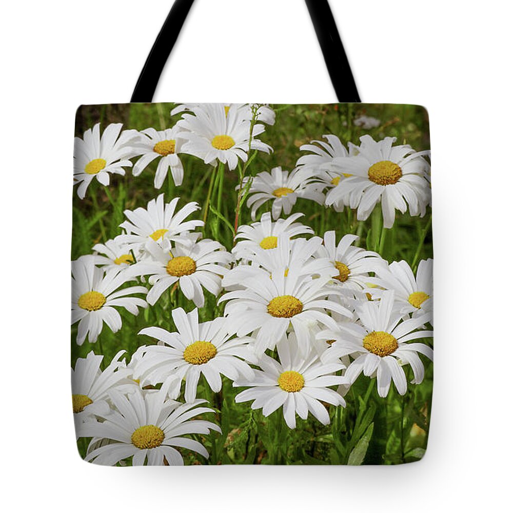 Daisy Tote Bag featuring the photograph Field of Daisies 2 by D Lee