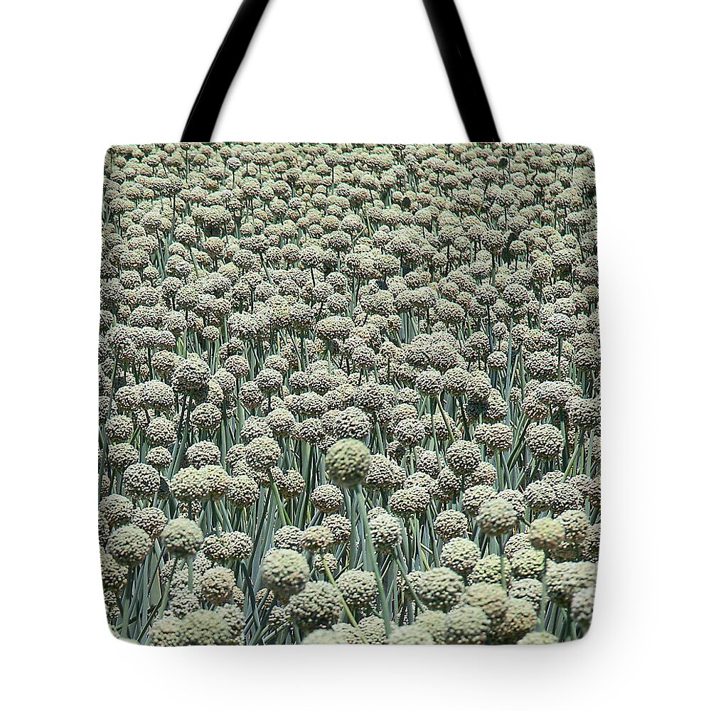 Field Tote Bag featuring the photograph Field of flowers by Dart Humeston