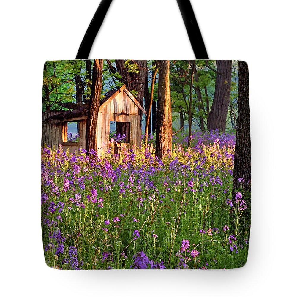 Wildflowers Tote Bag featuring the photograph Field of Forgotten Dreams by Jill Love
