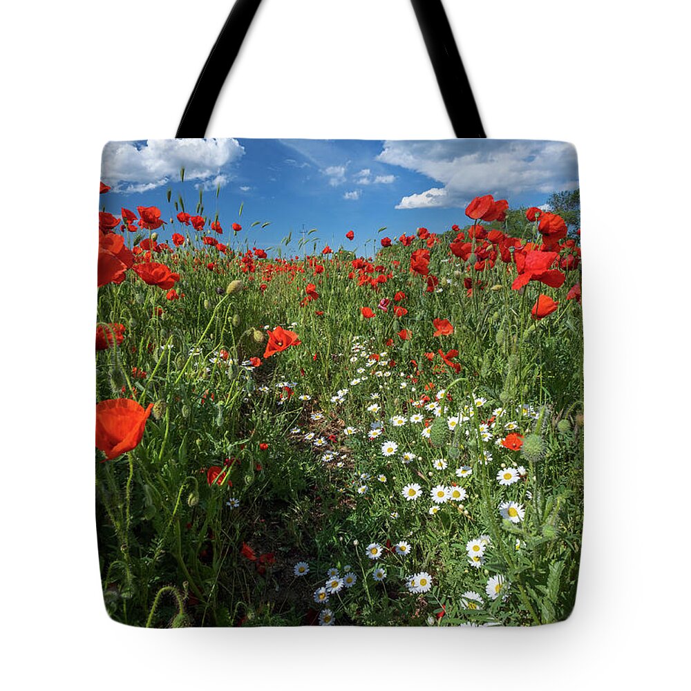 Flower Tote Bag featuring the photograph Field of poppy flowers and daisies by Mikhail Kokhanchikov