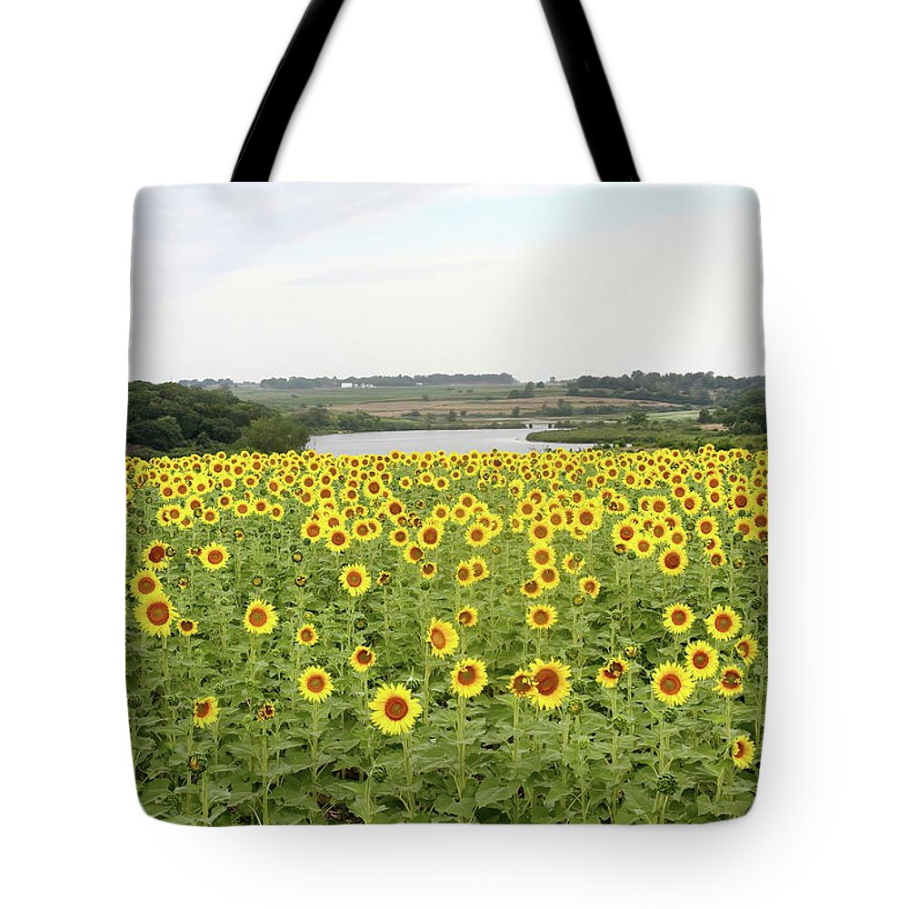 Sunflower Tote Bag featuring the photograph Field Of Sunshine by Lens Art Photography By Larry Trager