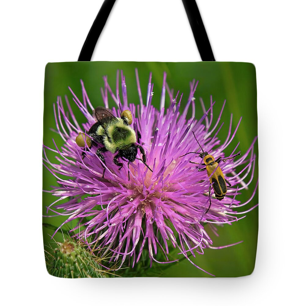 Nature Tote Bag featuring the photograph Field Thistle DFF0017 by Gerry Gantt