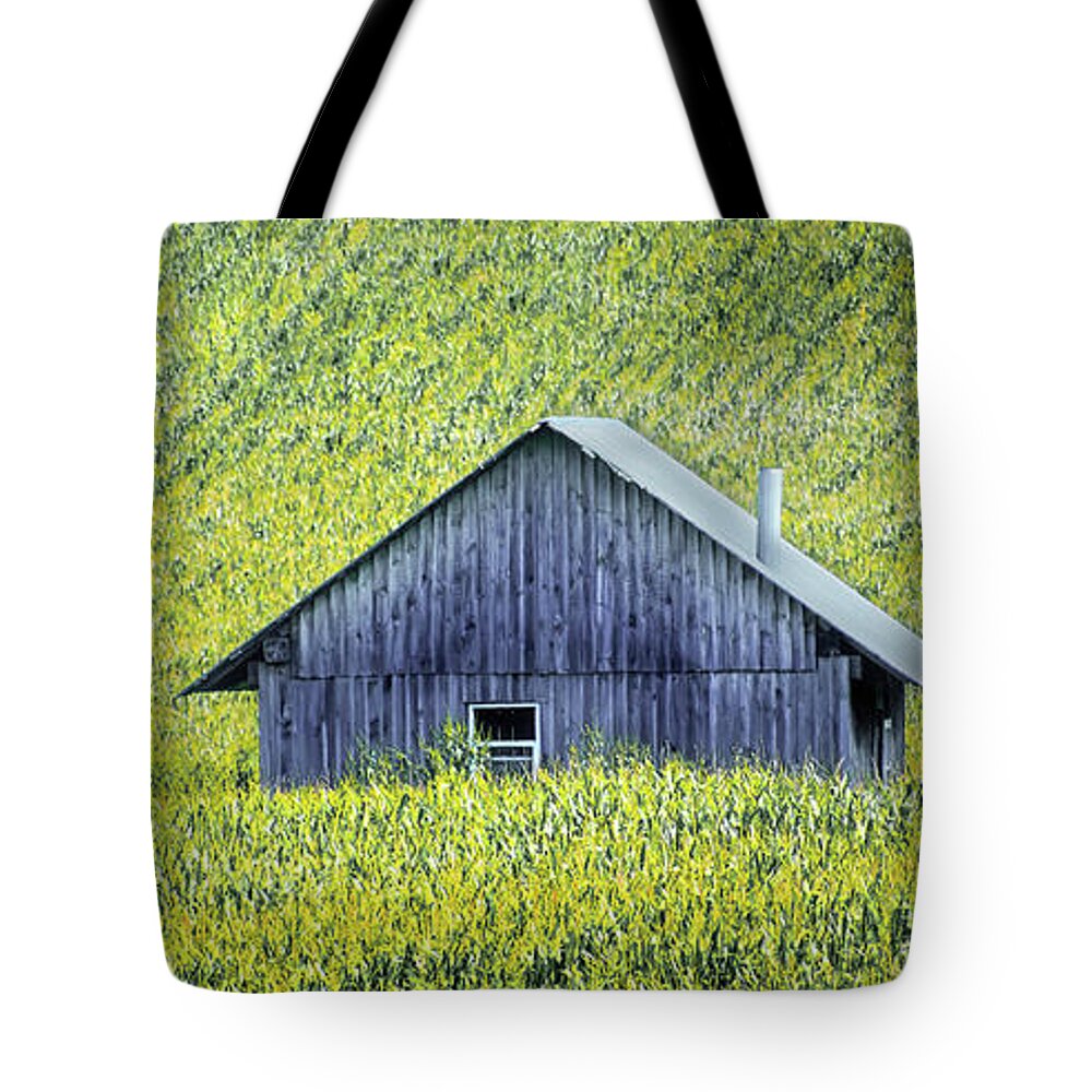 Field Tote Bag featuring the photograph Fields of Gold by Phil S Addis