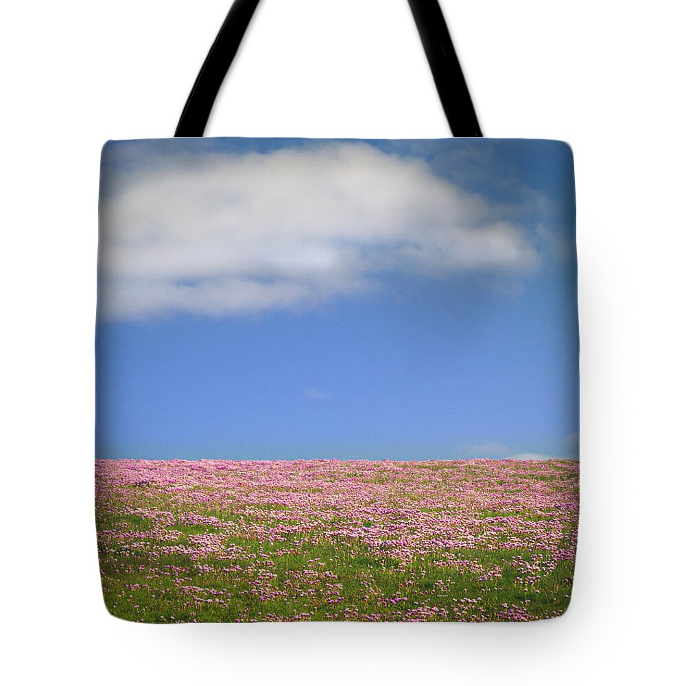 Sea Pink Tote Bag featuring the photograph Fields of SeaPink by Mark Callanan