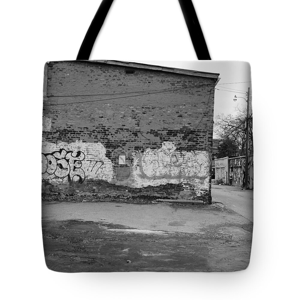  Tote Bag featuring the photograph Fiend On The Roof by Kreddible Trout