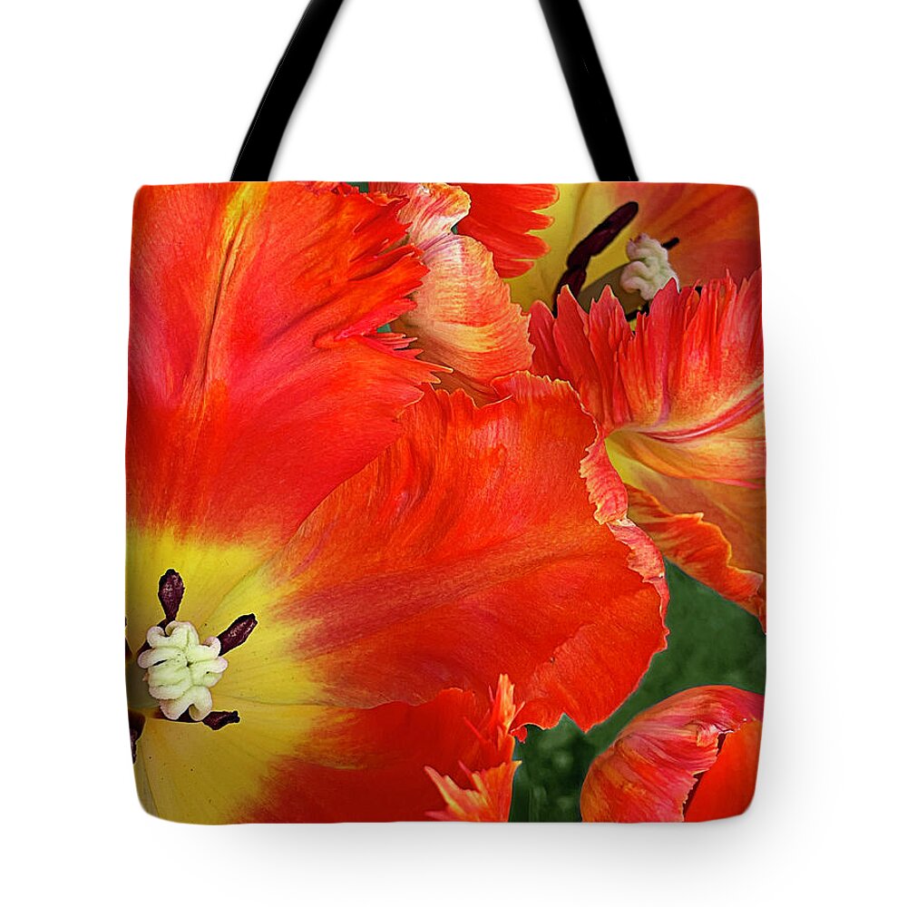 Parrot Tulip Tote Bag featuring the photograph Fiery Free Spirits by Jill Love